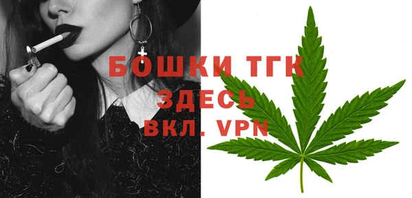 герыч Мегион