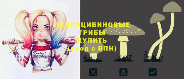 дмт Гусь-Хрустальный