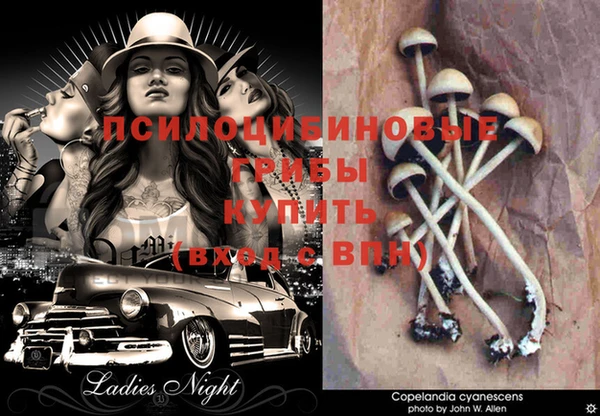 дмт Гусь-Хрустальный