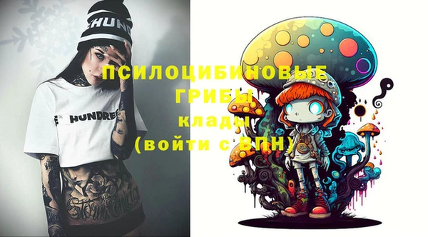 дмт Гусь-Хрустальный