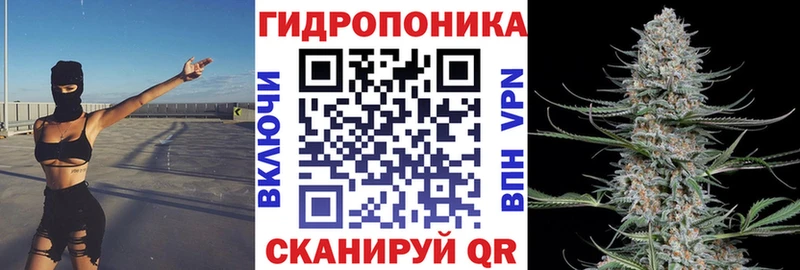 блэк спрут ONION  Дубовка  Канабис Ganja  что такое наркотик 